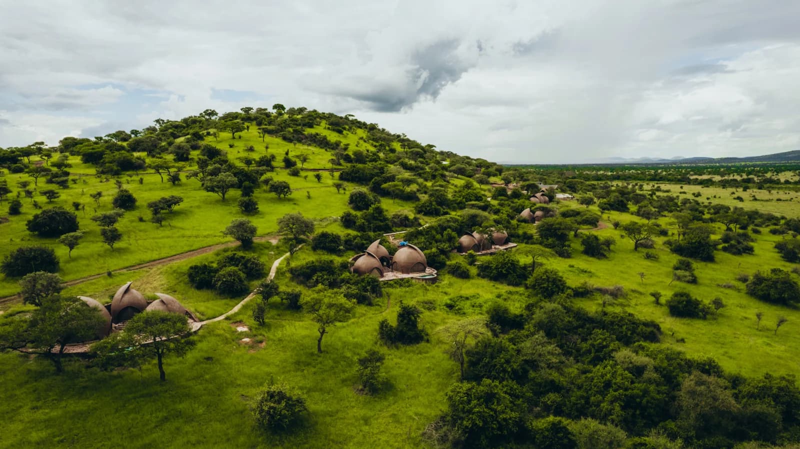 9-Day Great Migration Safari – Calving Season (December to March)