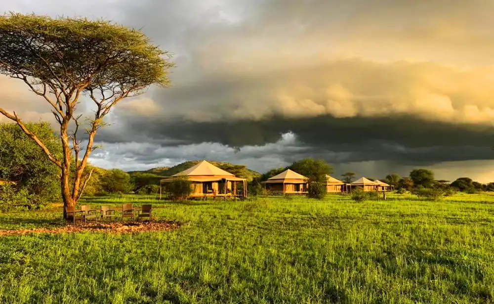 Serengeti Sound of Nature or Nyota Luxury Camp (if mobile)