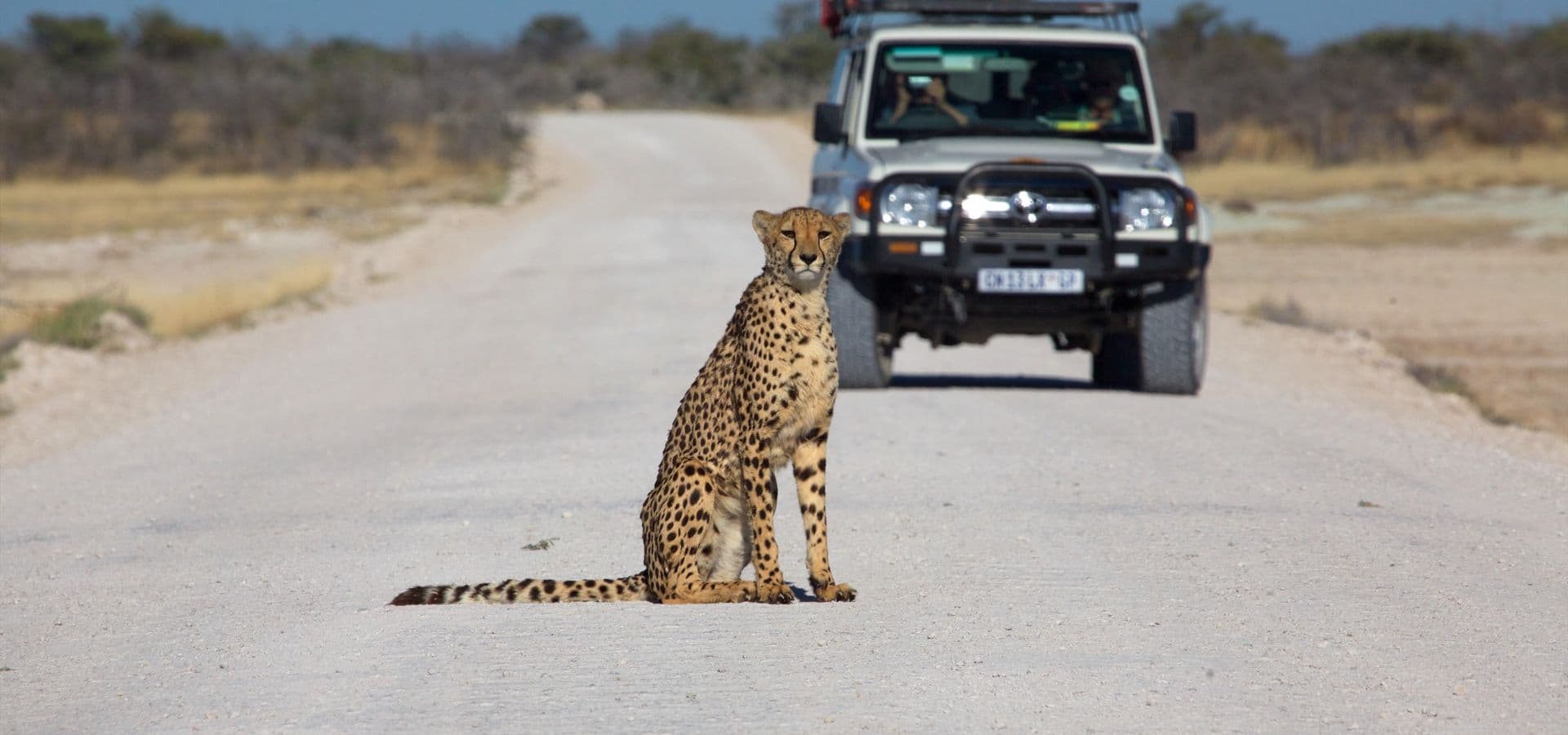 10-Day Namibia Safari Highlights