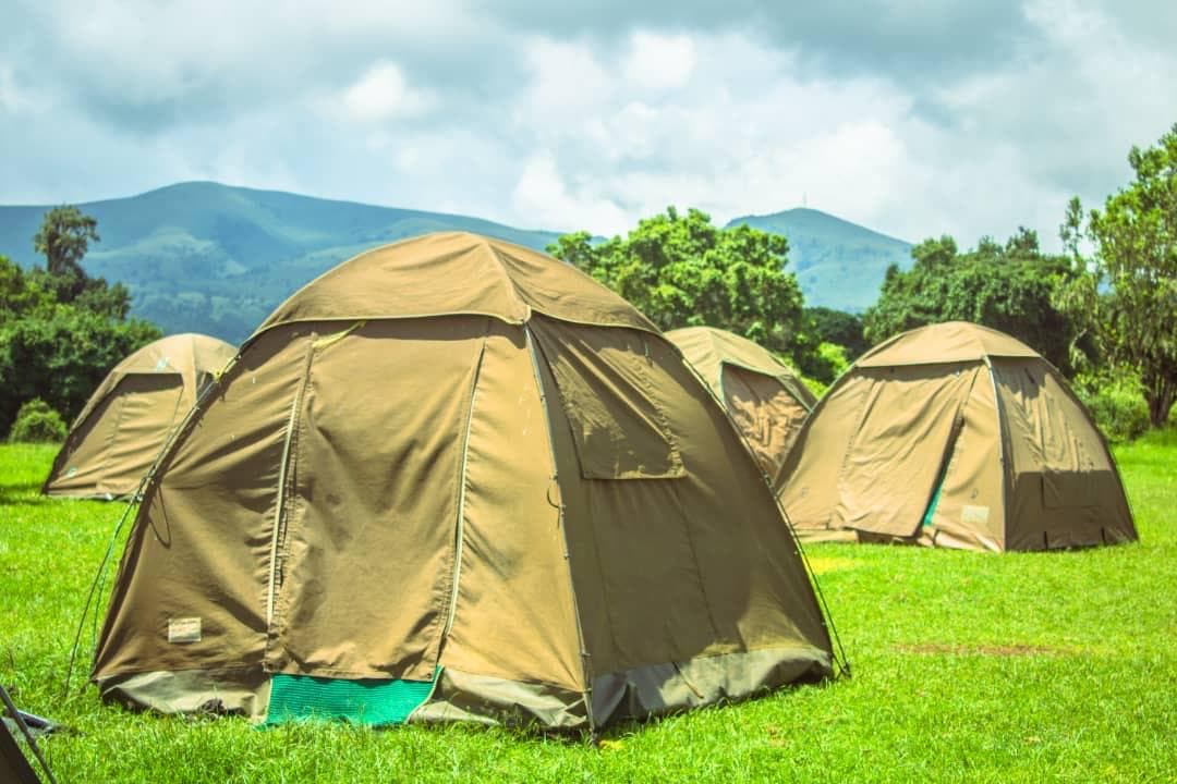 Nyani Campsite
