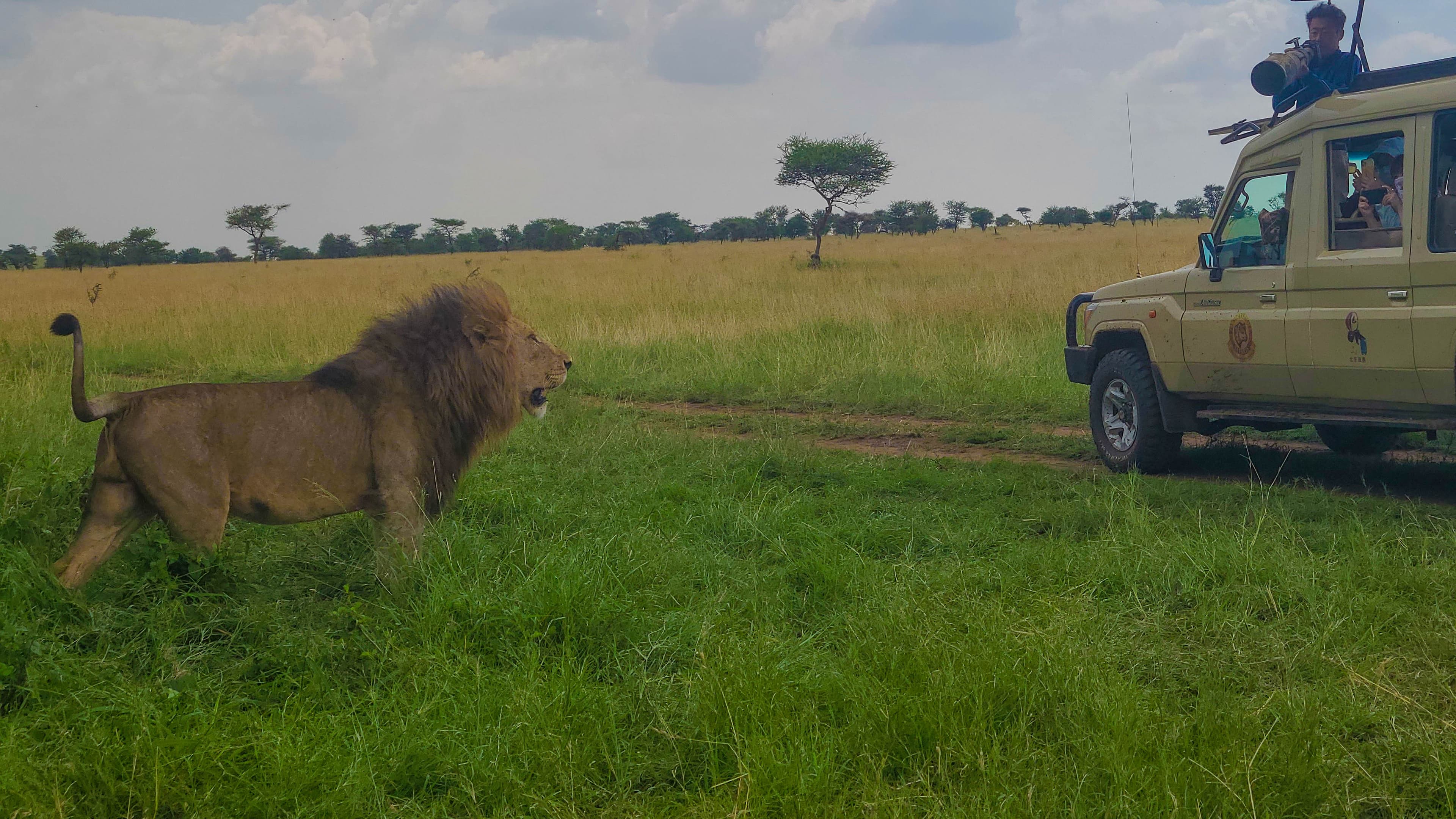 6-Day Tanzania Mid-Range Safari Experience