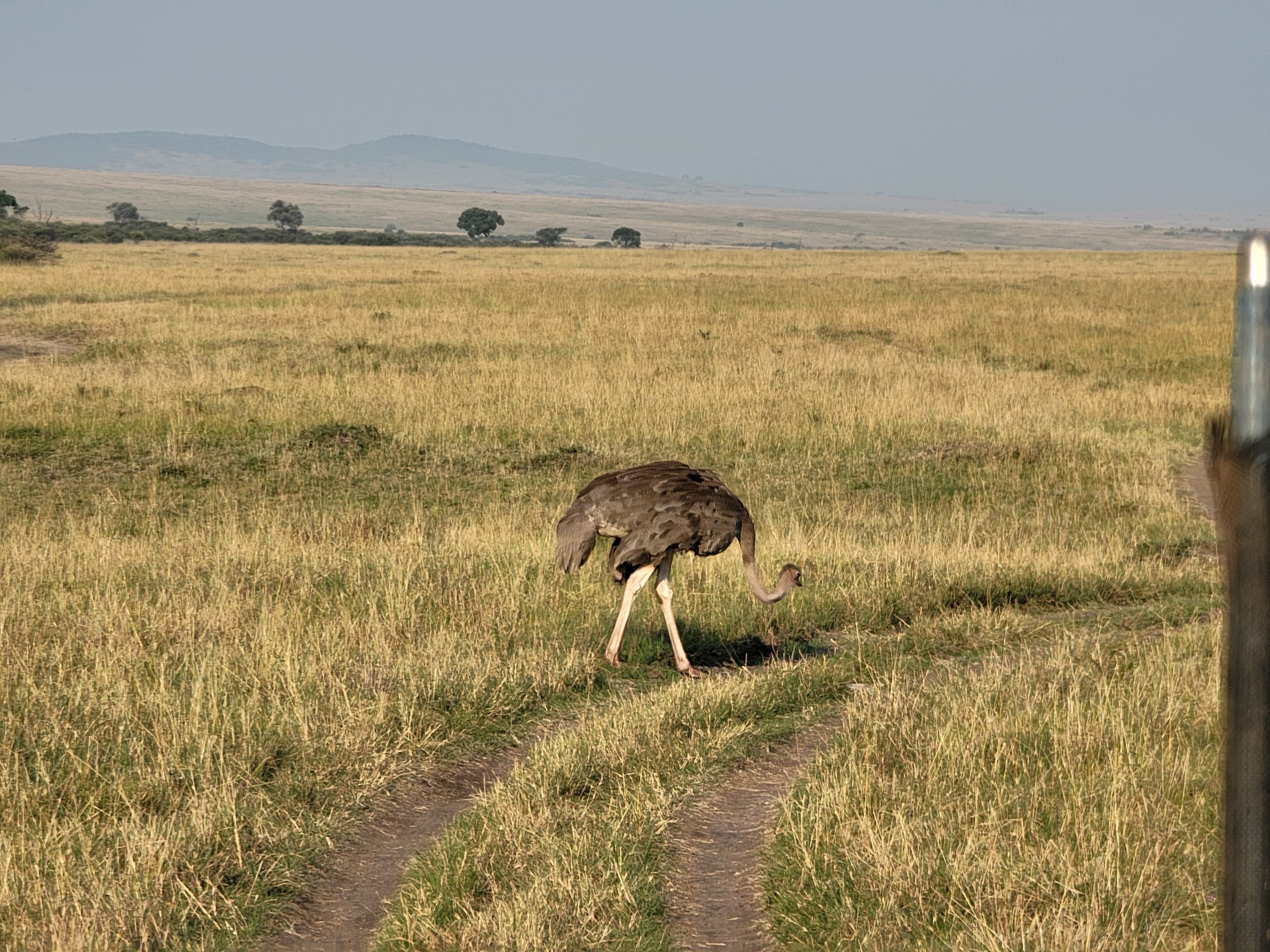 Experience Tanzania in Style – 7 Days with Serena Collection