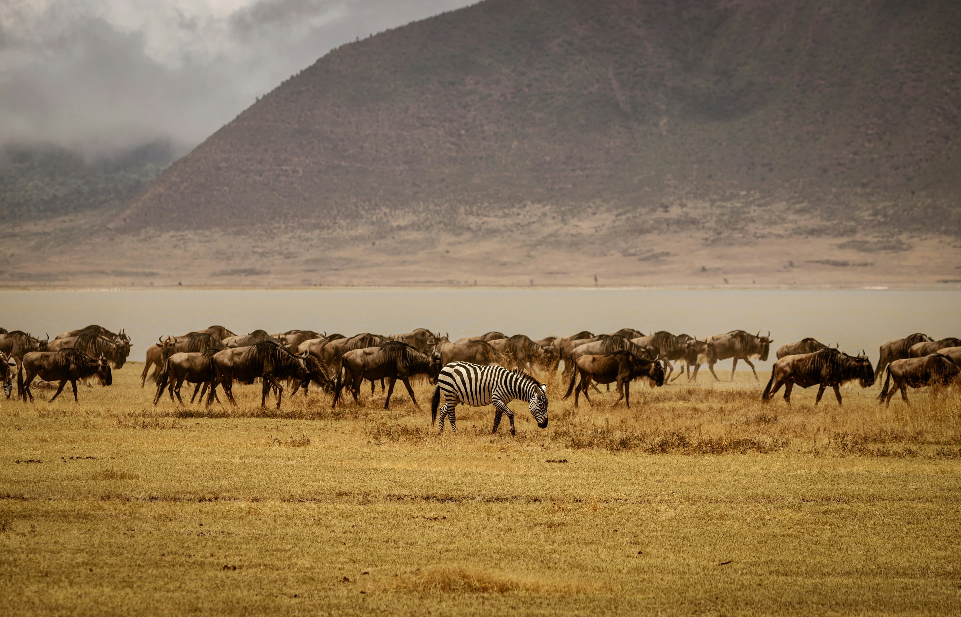 ULTIMATE TANZANIA WILDLIFE & CULTURAL SAFARI – 11 DAYS