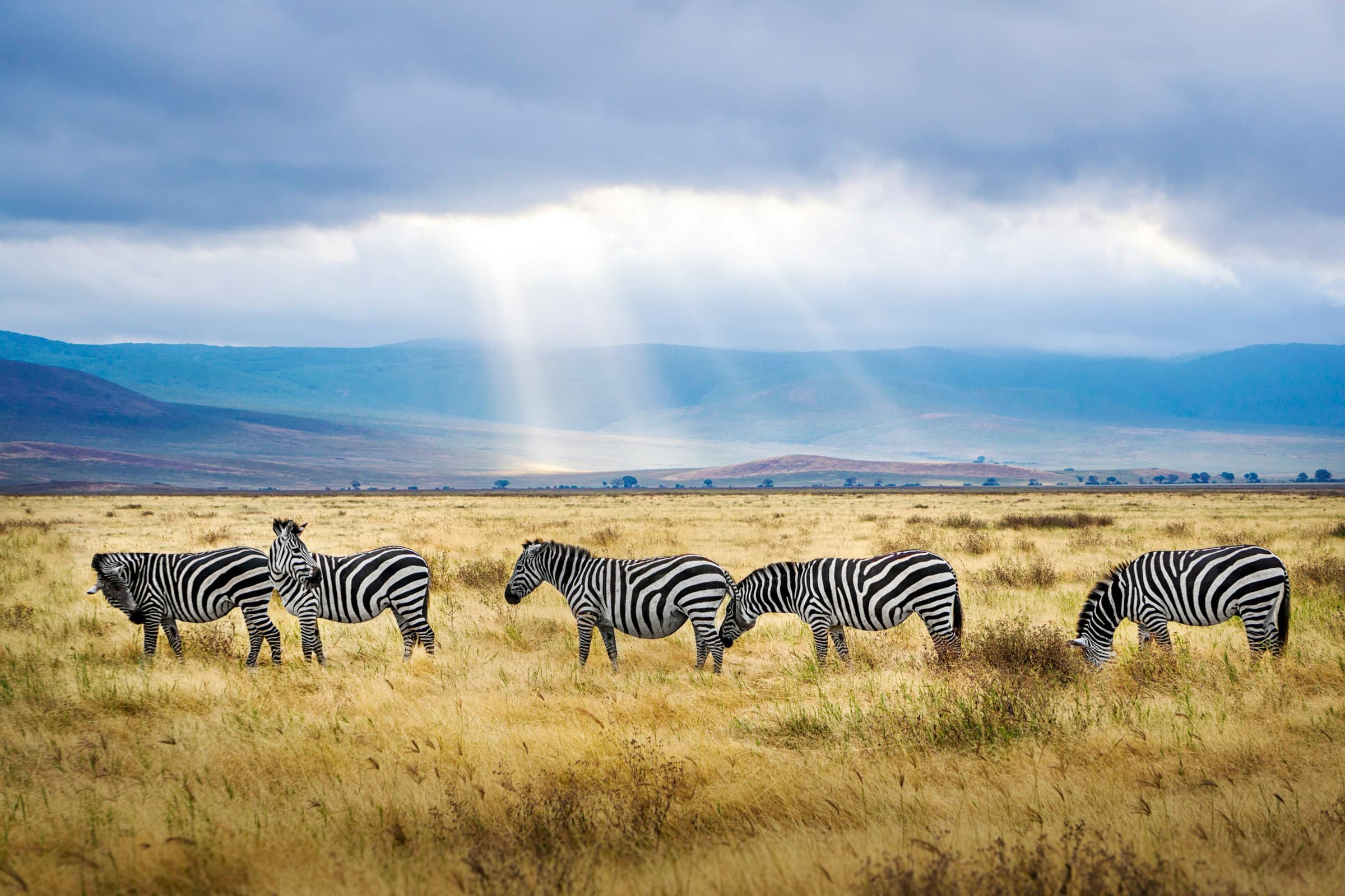 10 DAYS TANZANIA & ZANZIBAR HONEYMOON PACKAGE