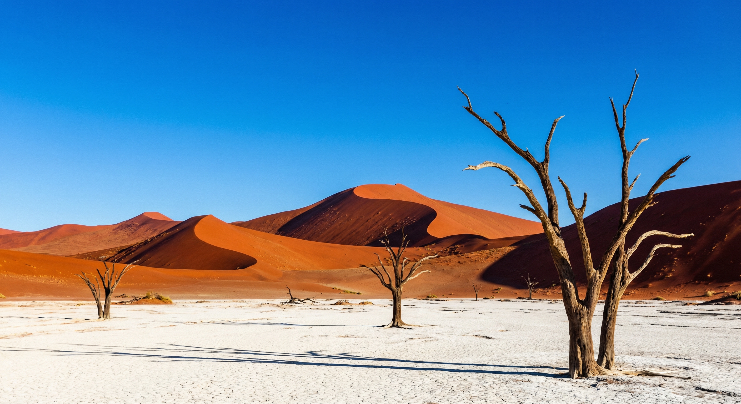 纳米布 · 沙漠幻境